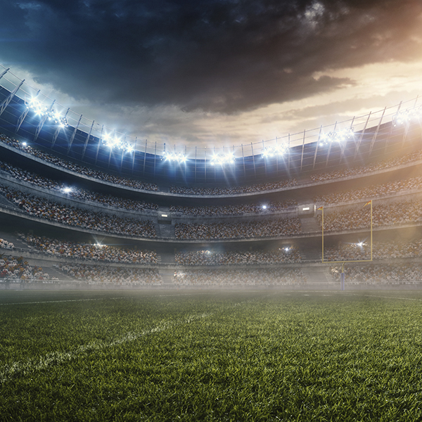 Scatter Ashes at a professional sports arena